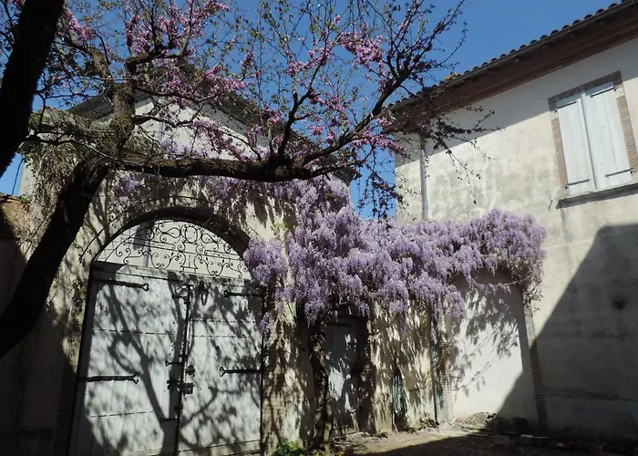 ベッド・アンド・ブレックファスト Grande Maison Mirabelensis - D'hotes Mirabel (Tarn-et-Garonne)